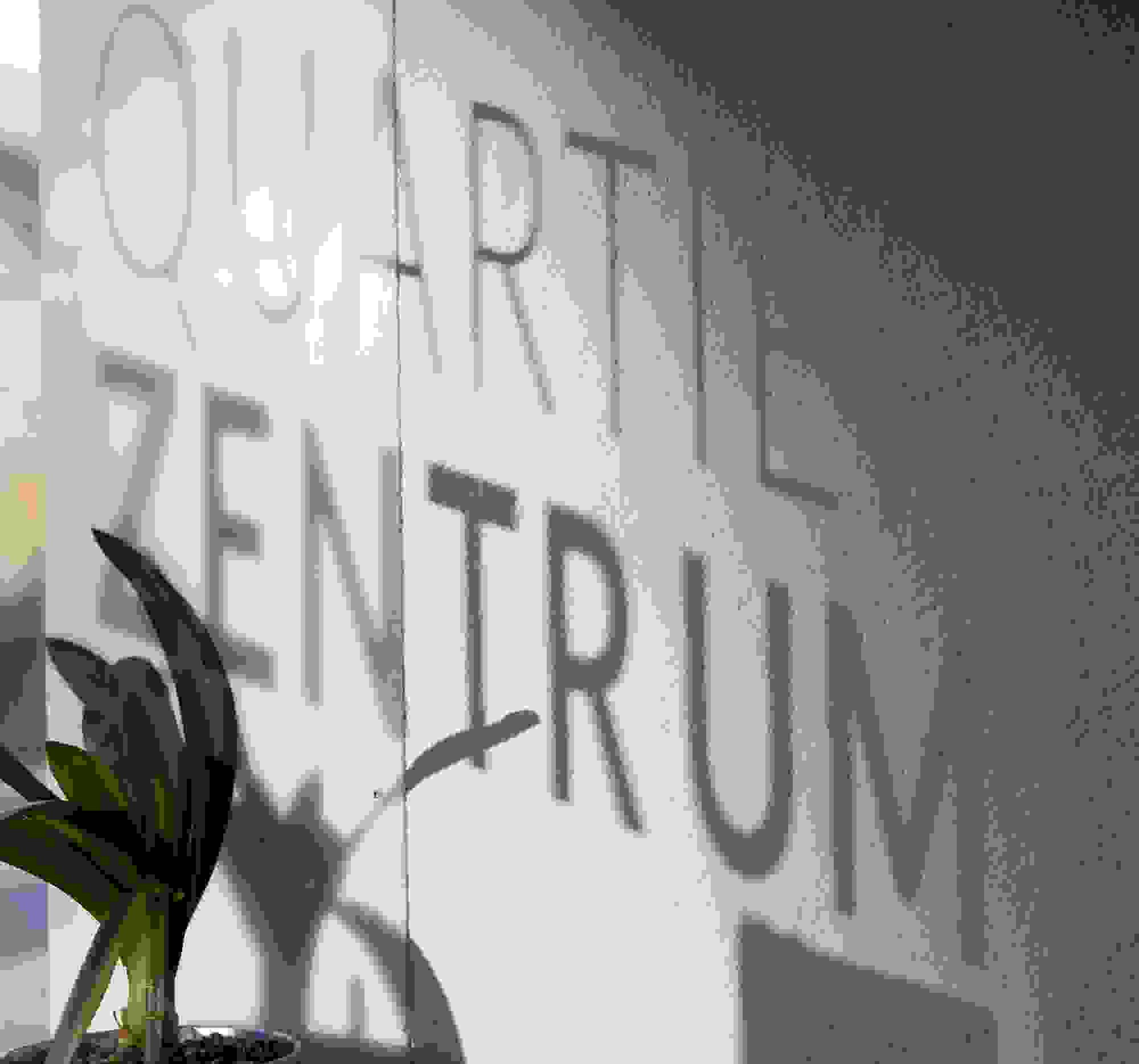 z_s_wylerhuus_nov_24_088_.jpg
